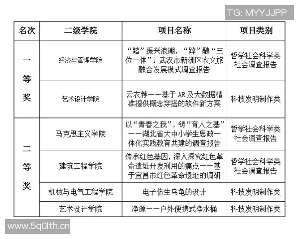 武汉极限运动队比赛经验分析与表现评估的深度研究